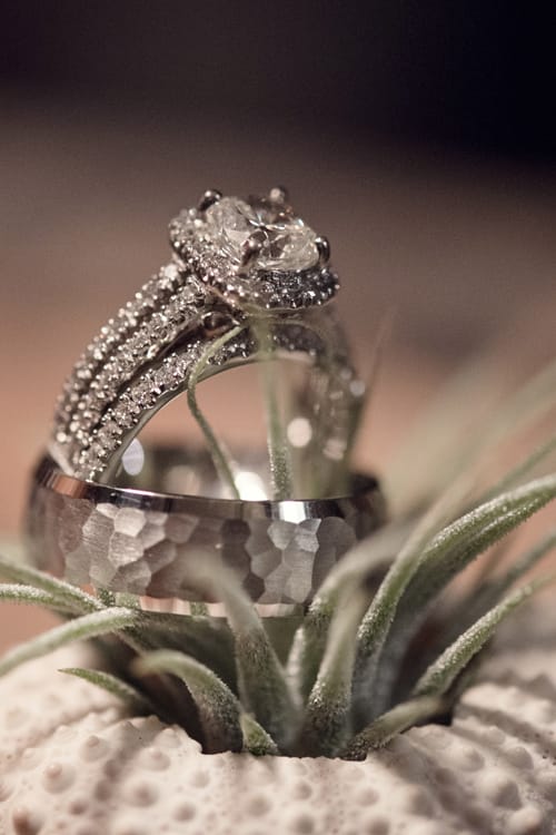 White Ivory Photography 