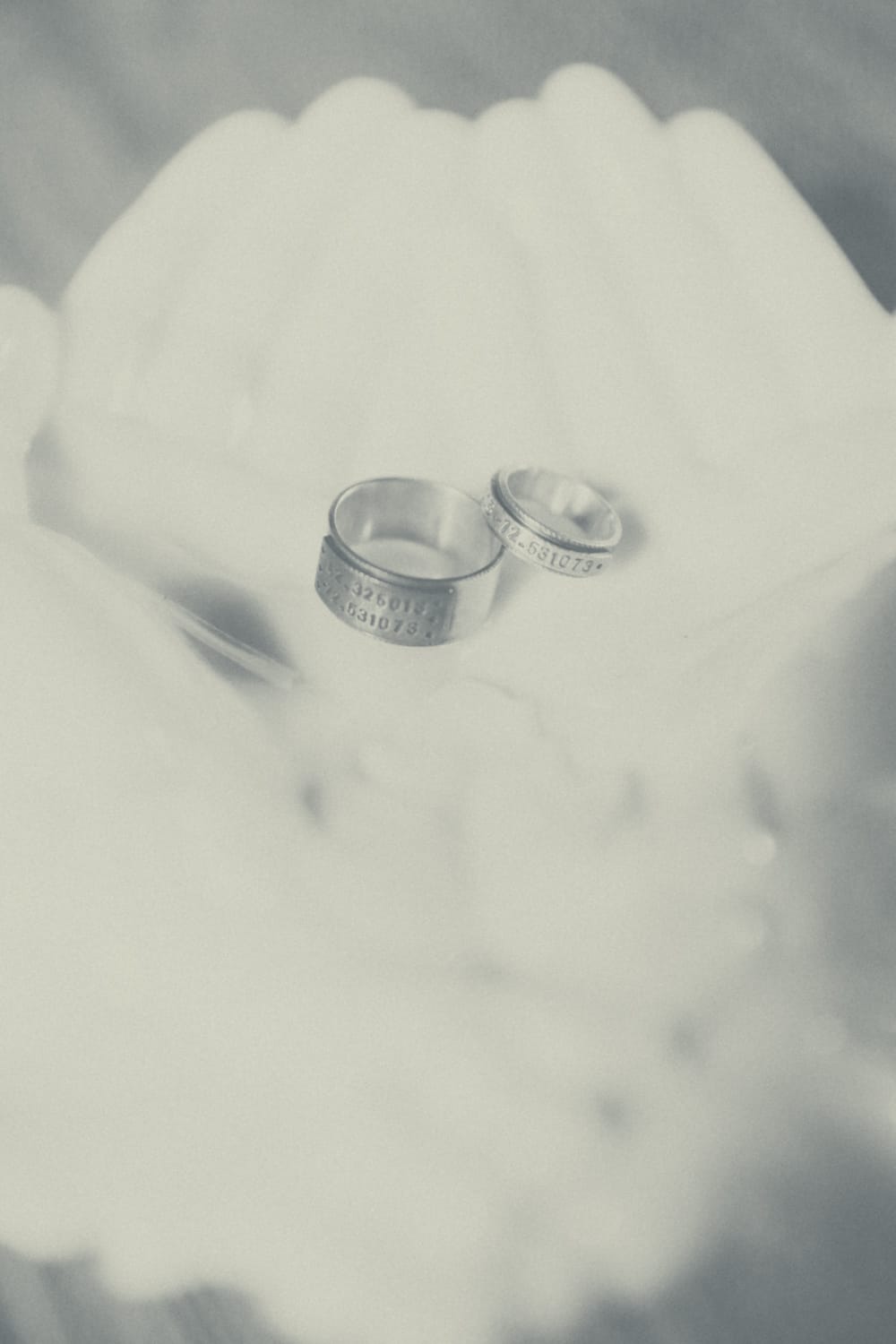 Meg Haley Photography