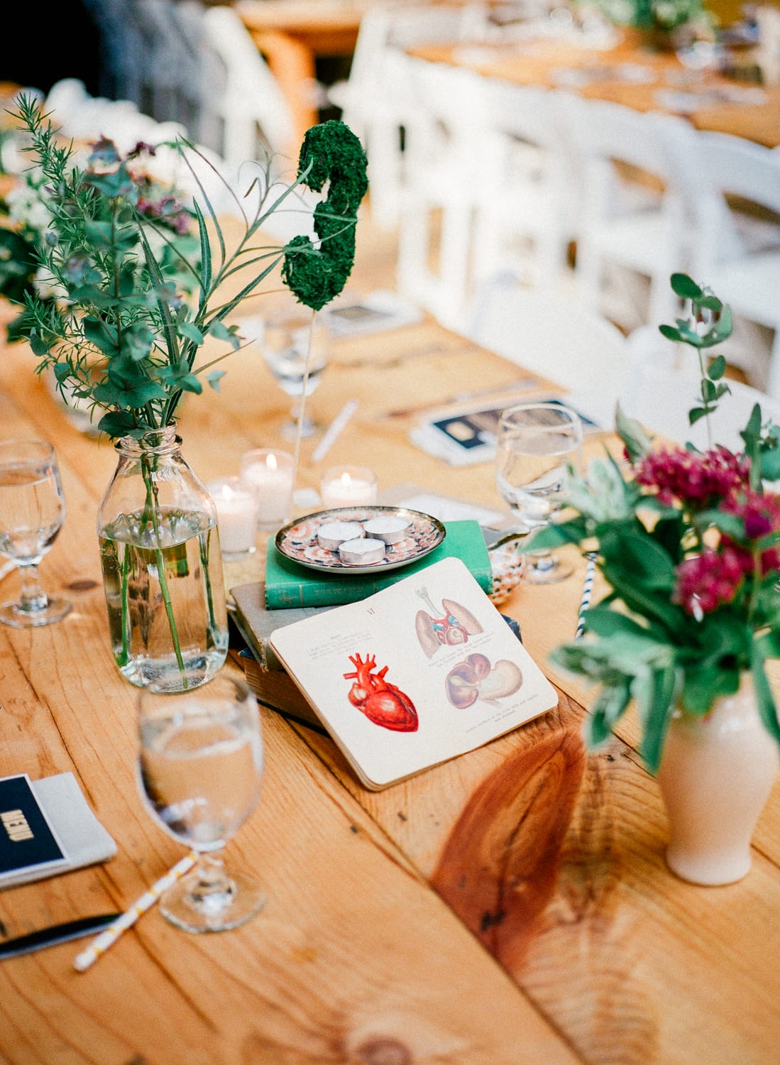 Meg Haley Photography