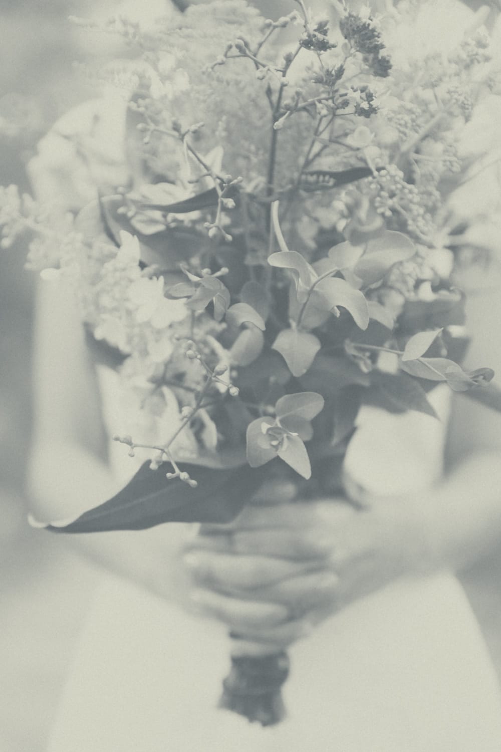 Meg Haley Photography