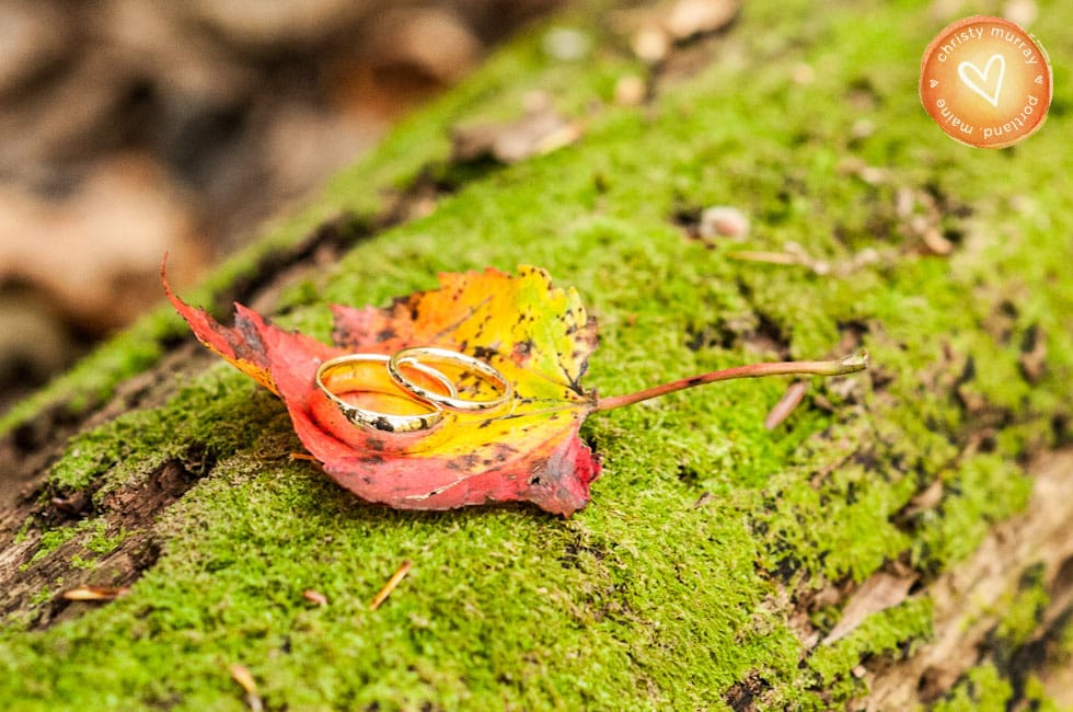 Christy Murray Photography 