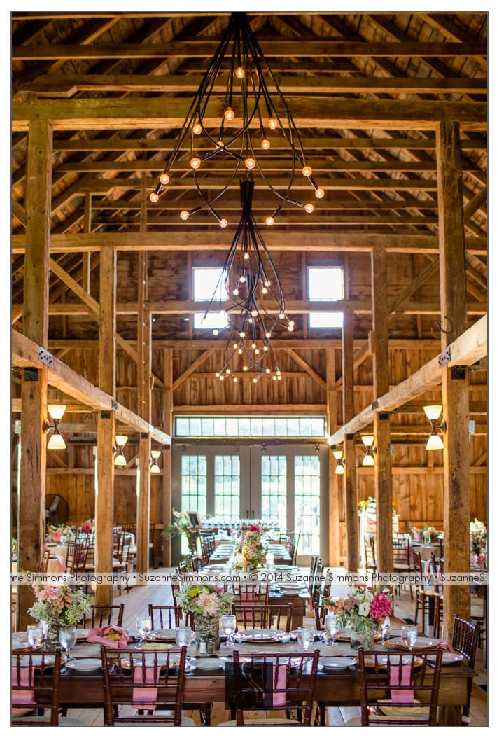 Suzanne Simmons Photography