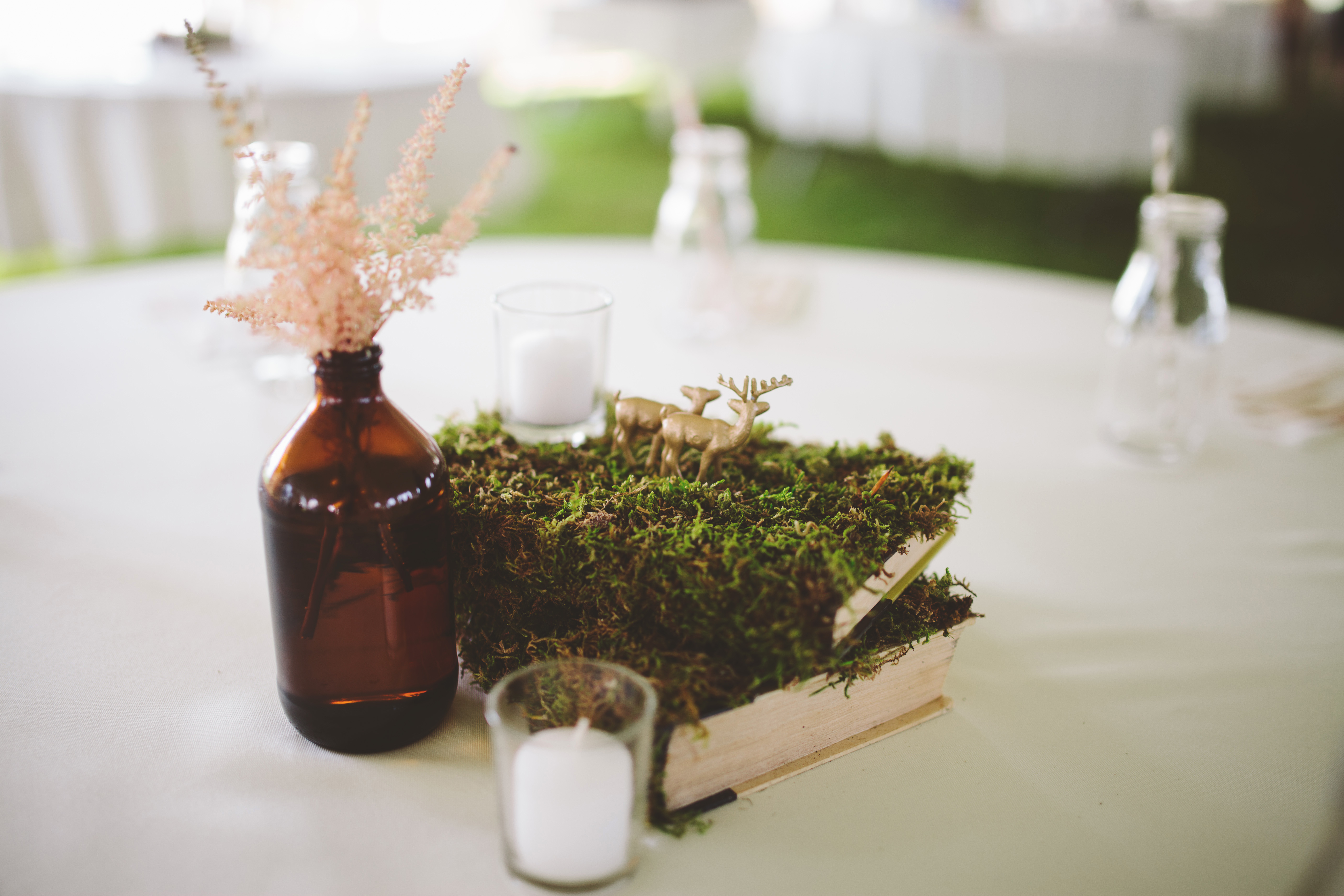 The Shalom Imaginative 