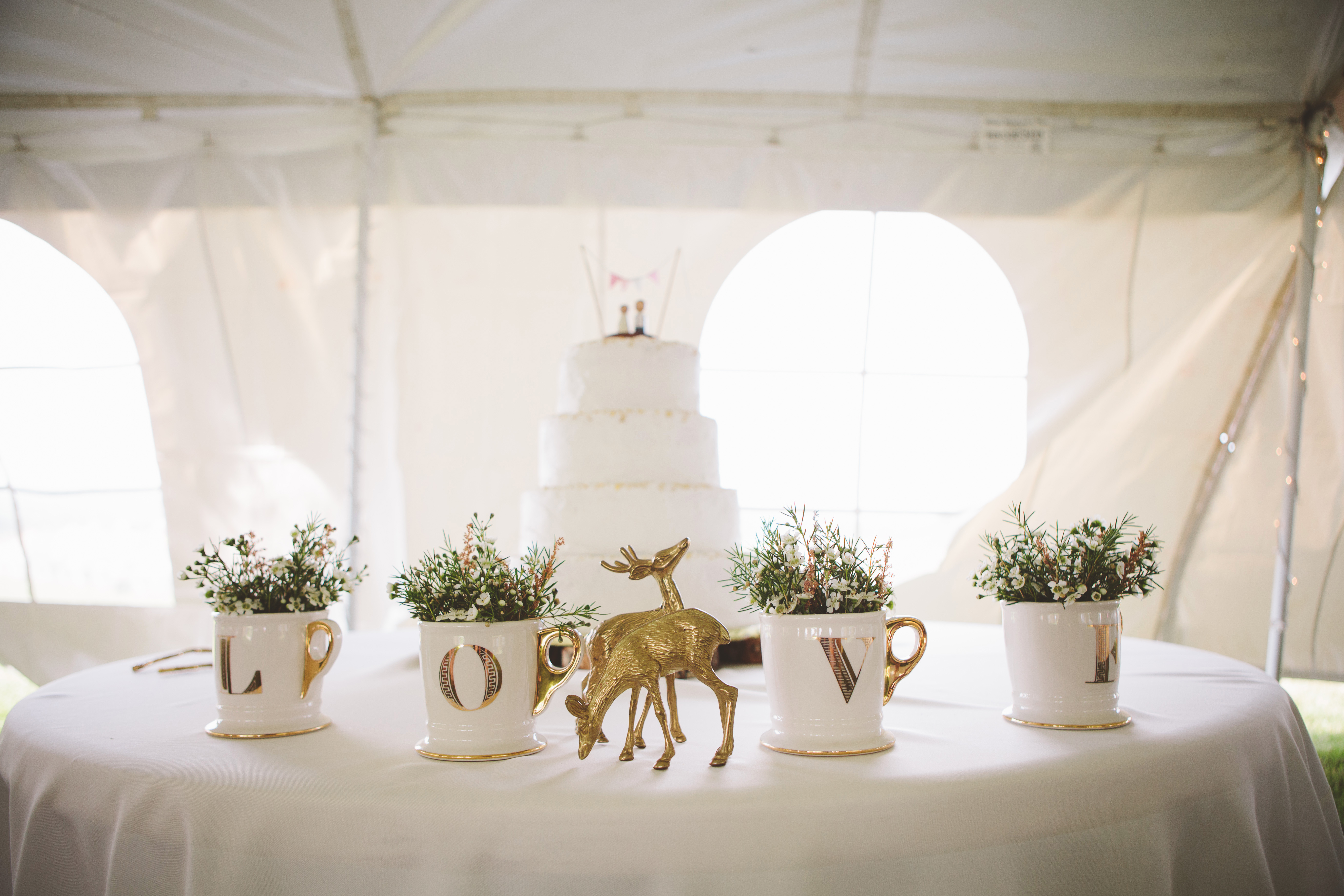 The Shalom Imaginative 