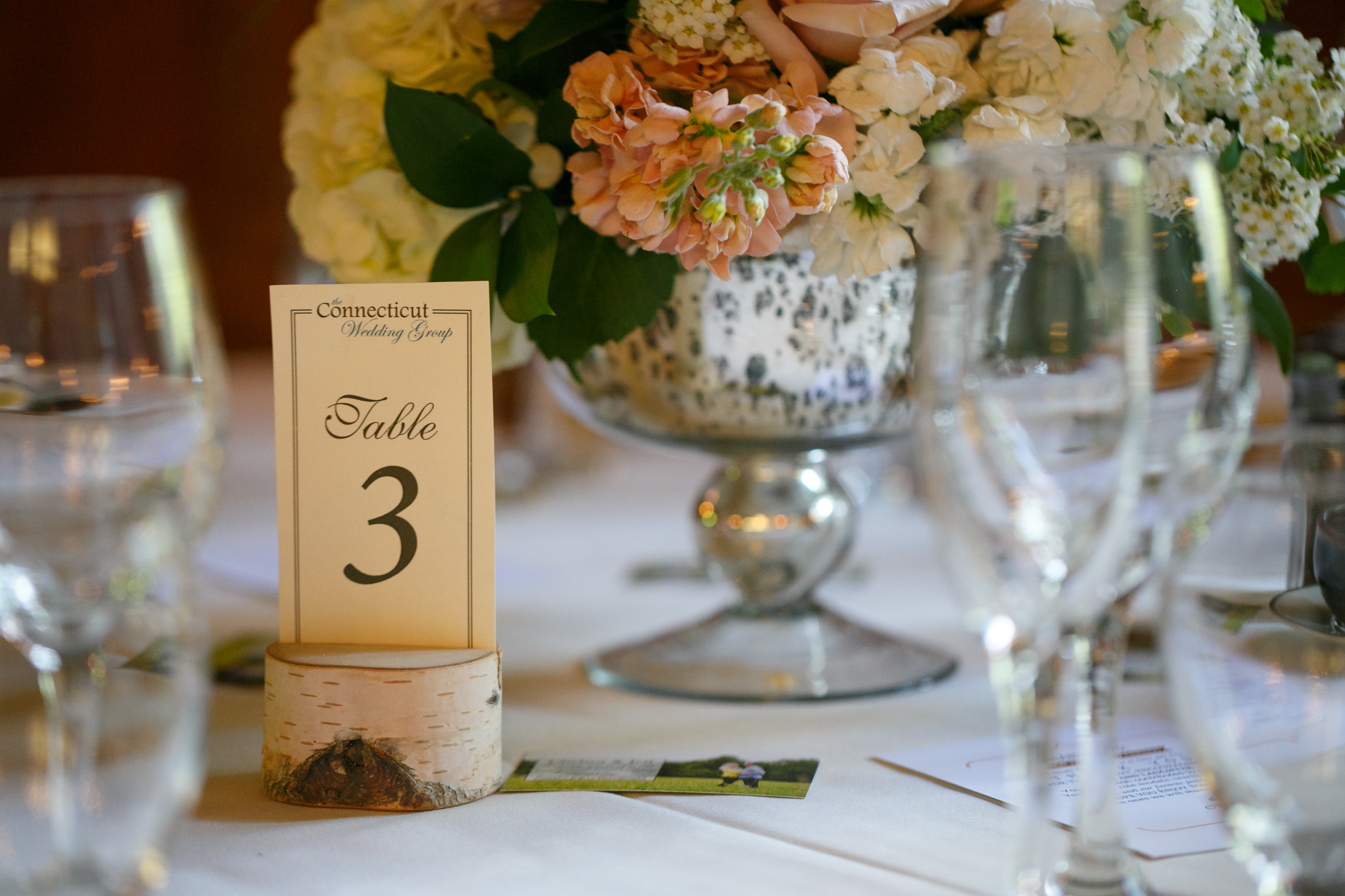 Candace Jeffery Photography