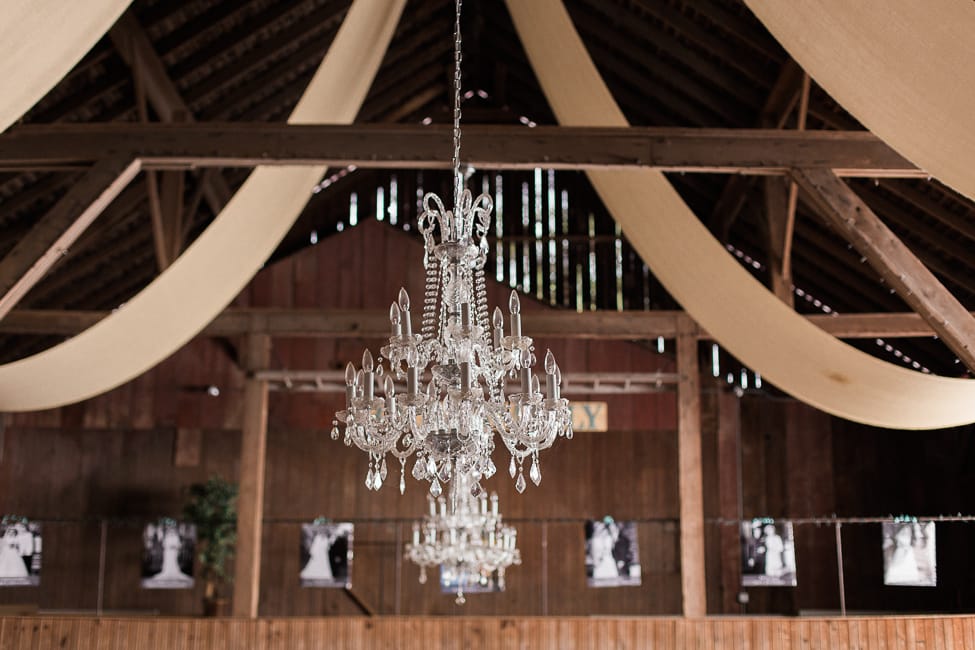 Breanna Elizabeth Photography 