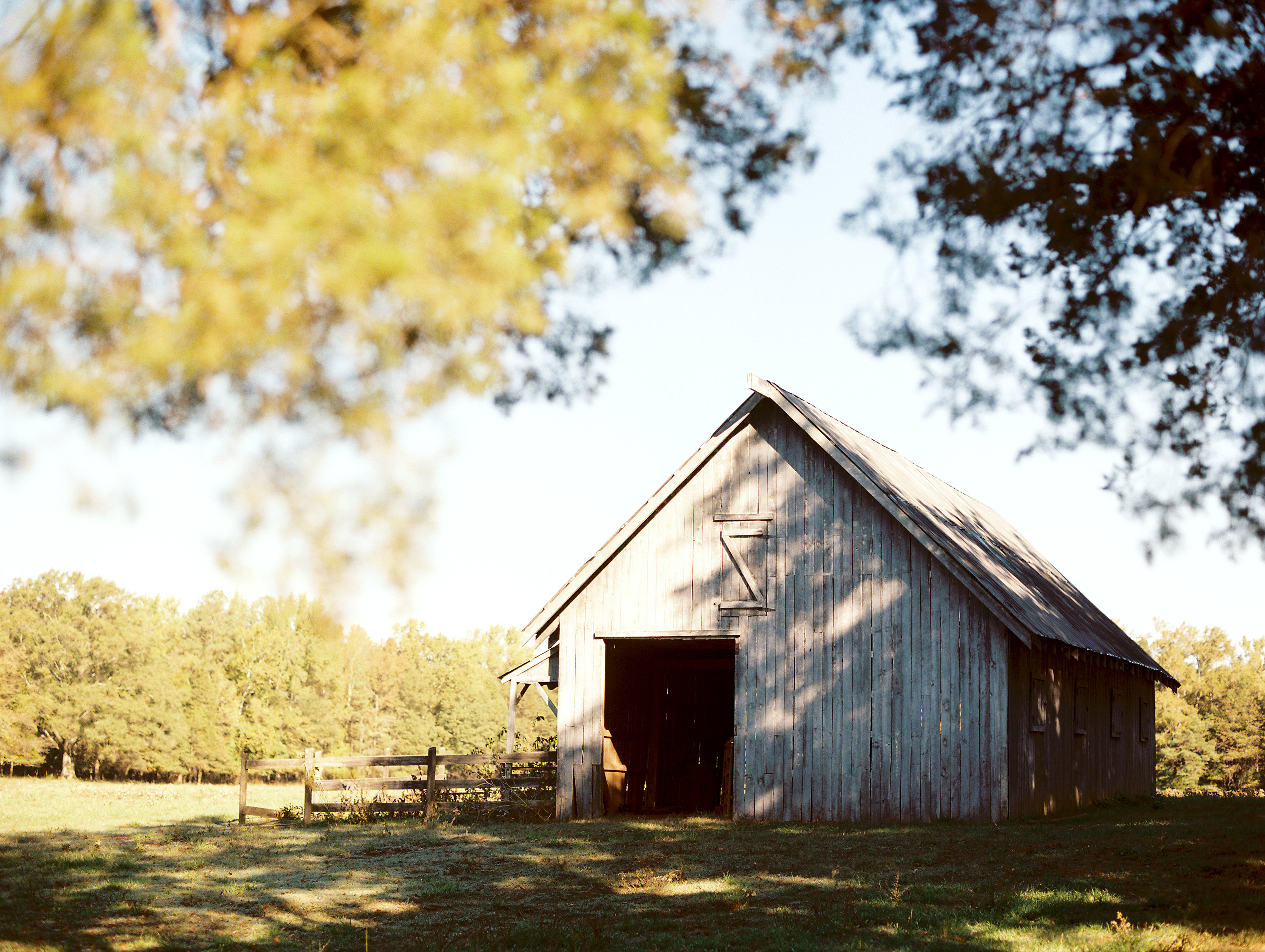 Sarah Der Photography