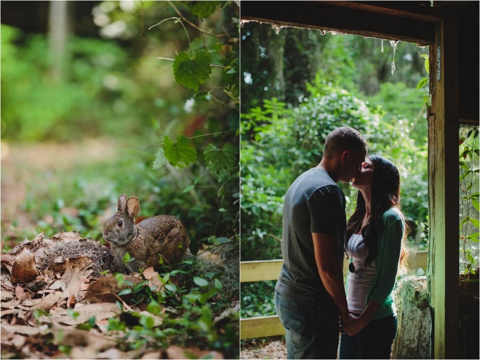 Stephanie W Photography