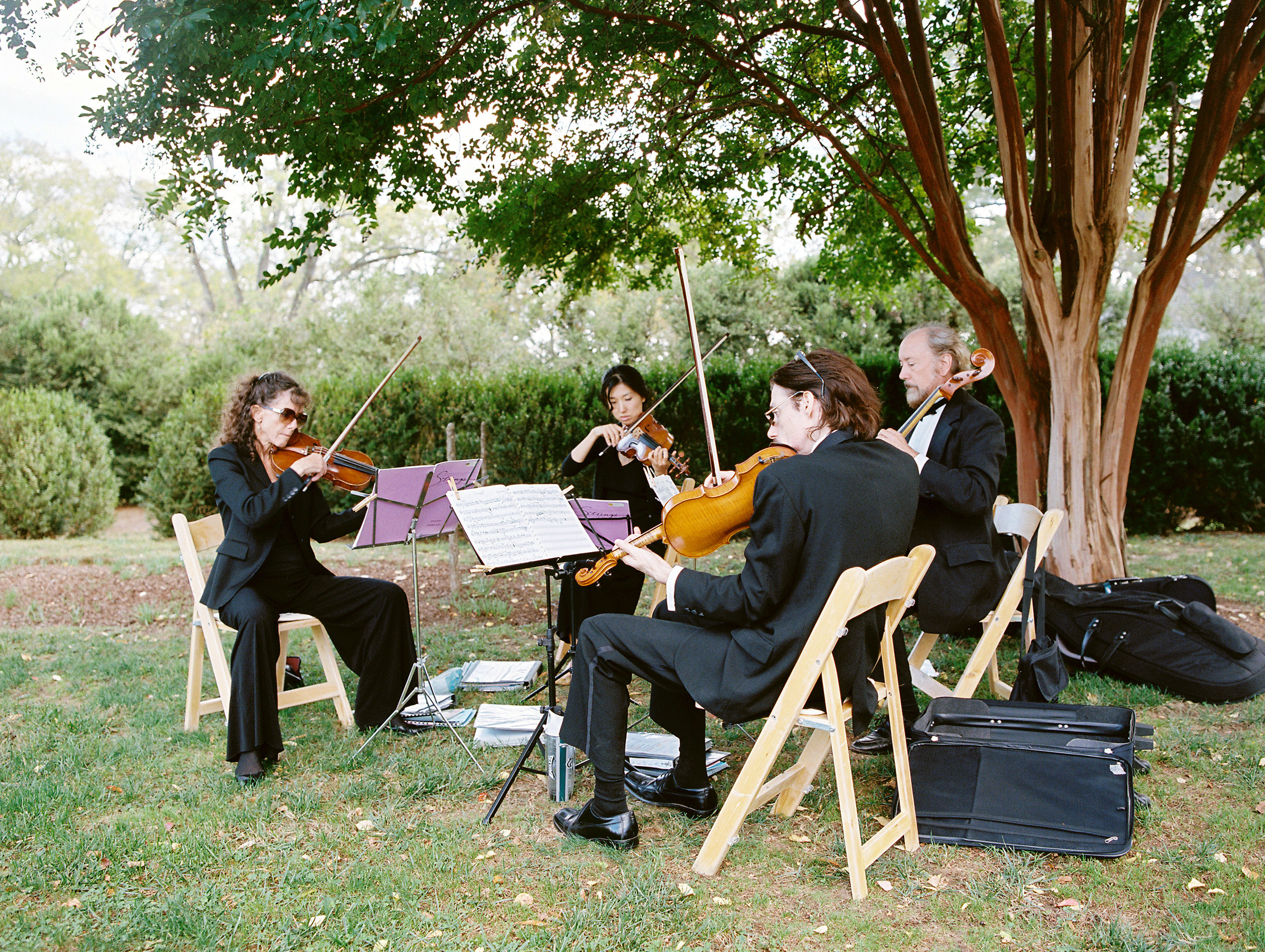 Sarah Der Photography