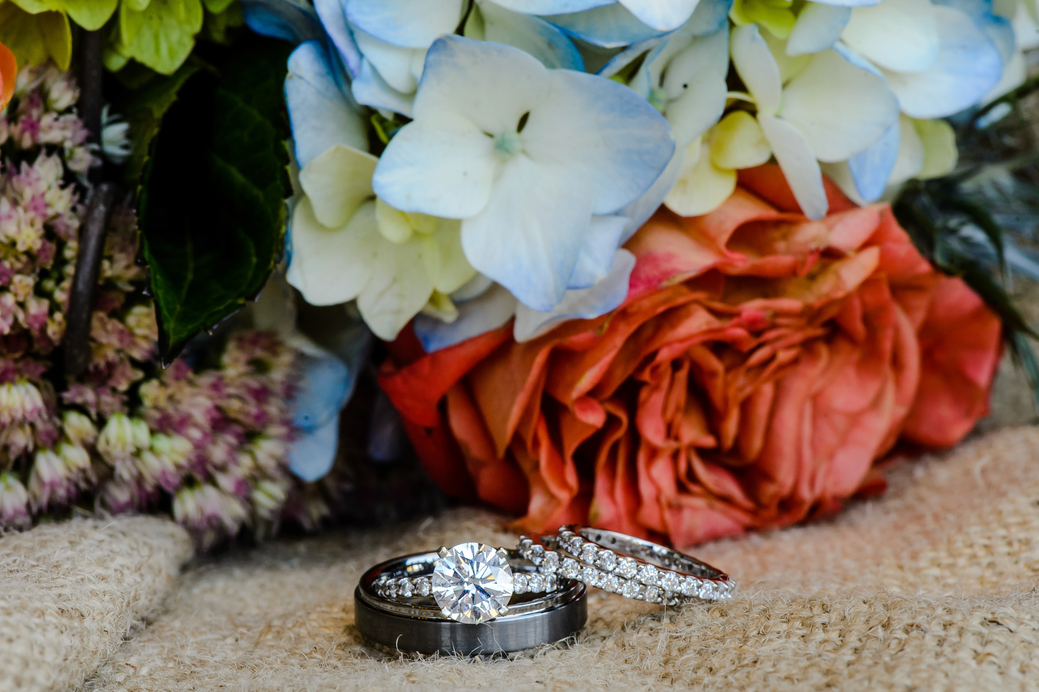 Tricia McCormack Photography