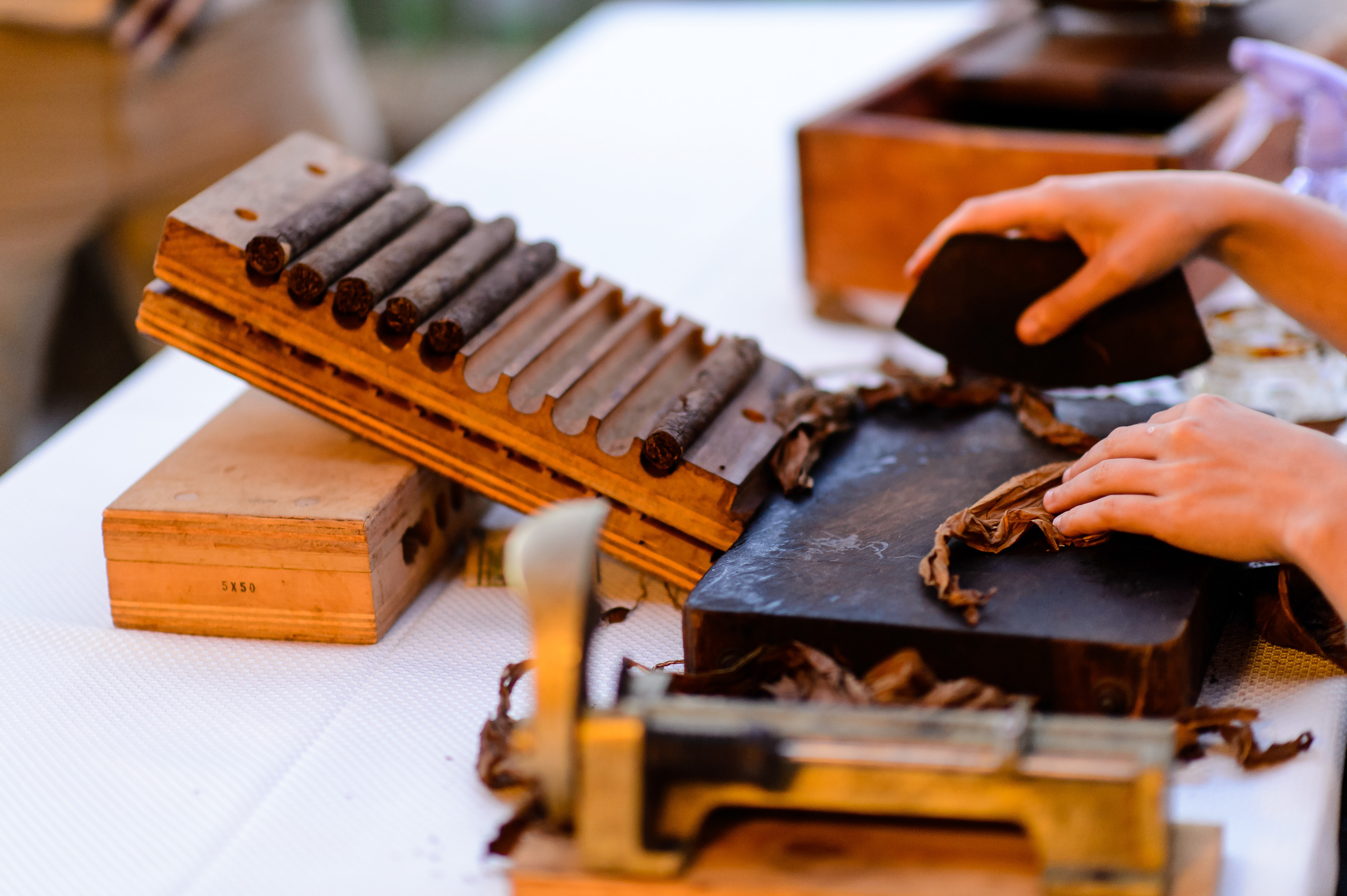 Tricia McCormack Photography