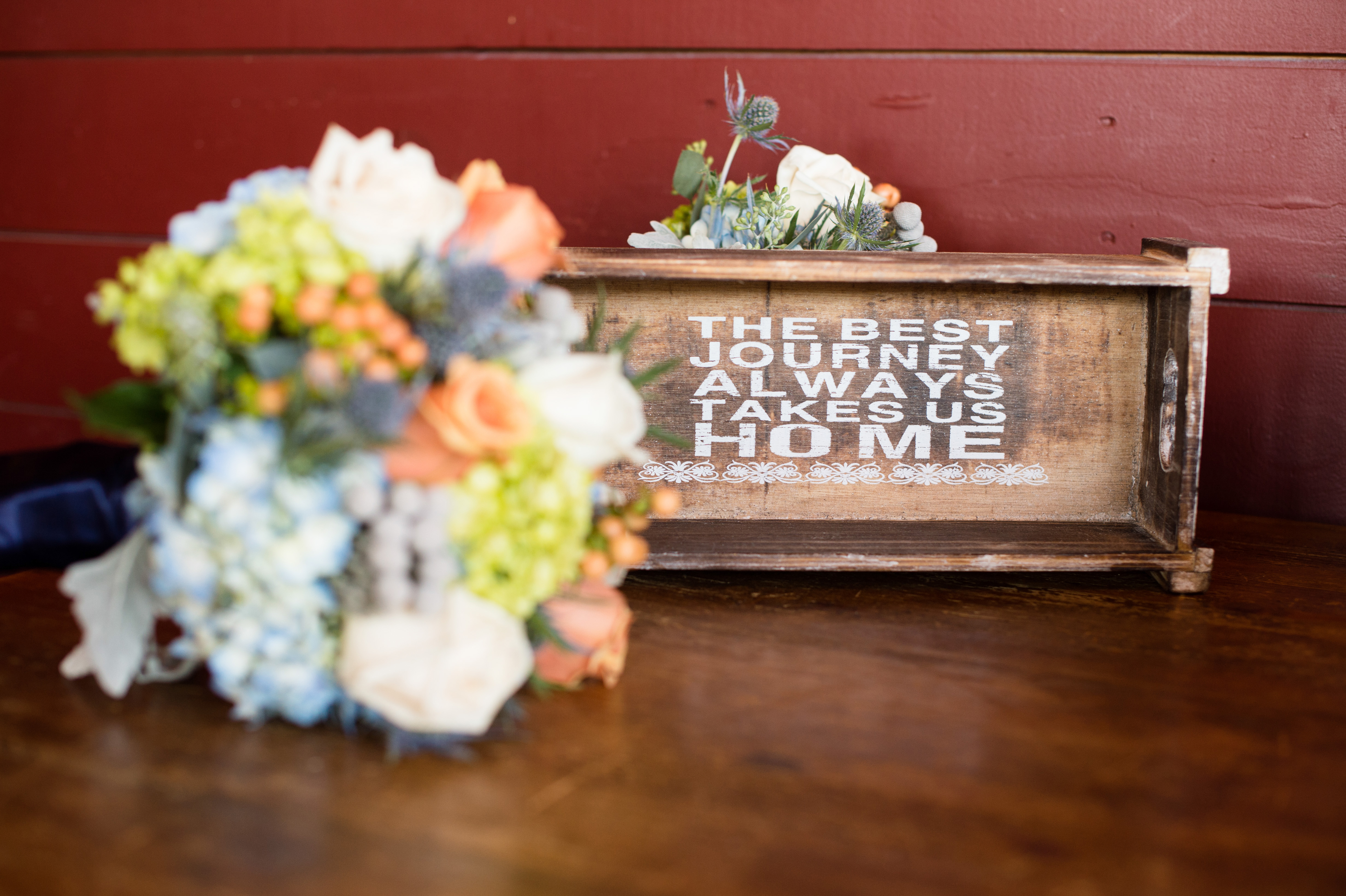 Tricia McCormack Photography