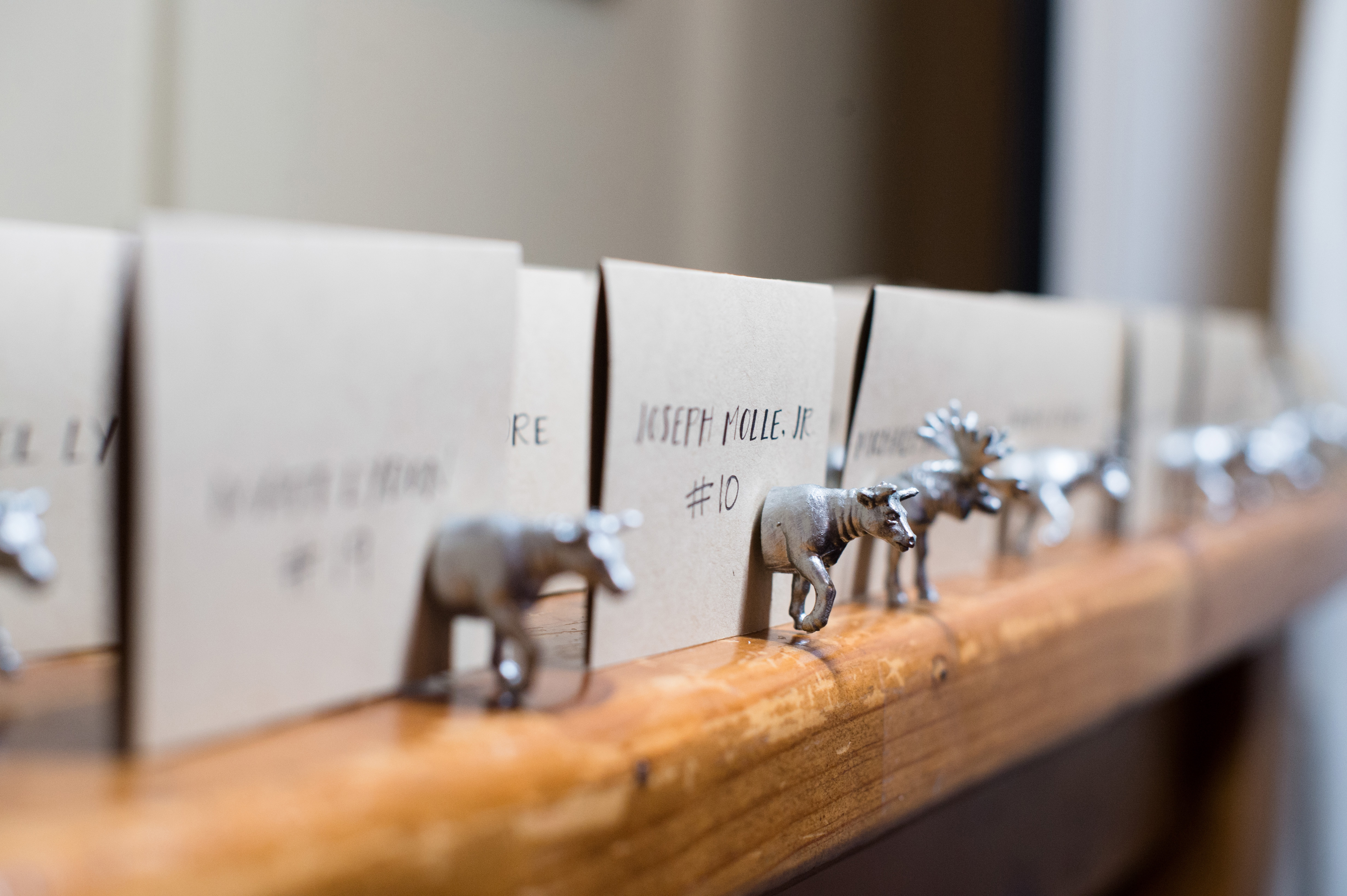 Tricia McCormack Photography