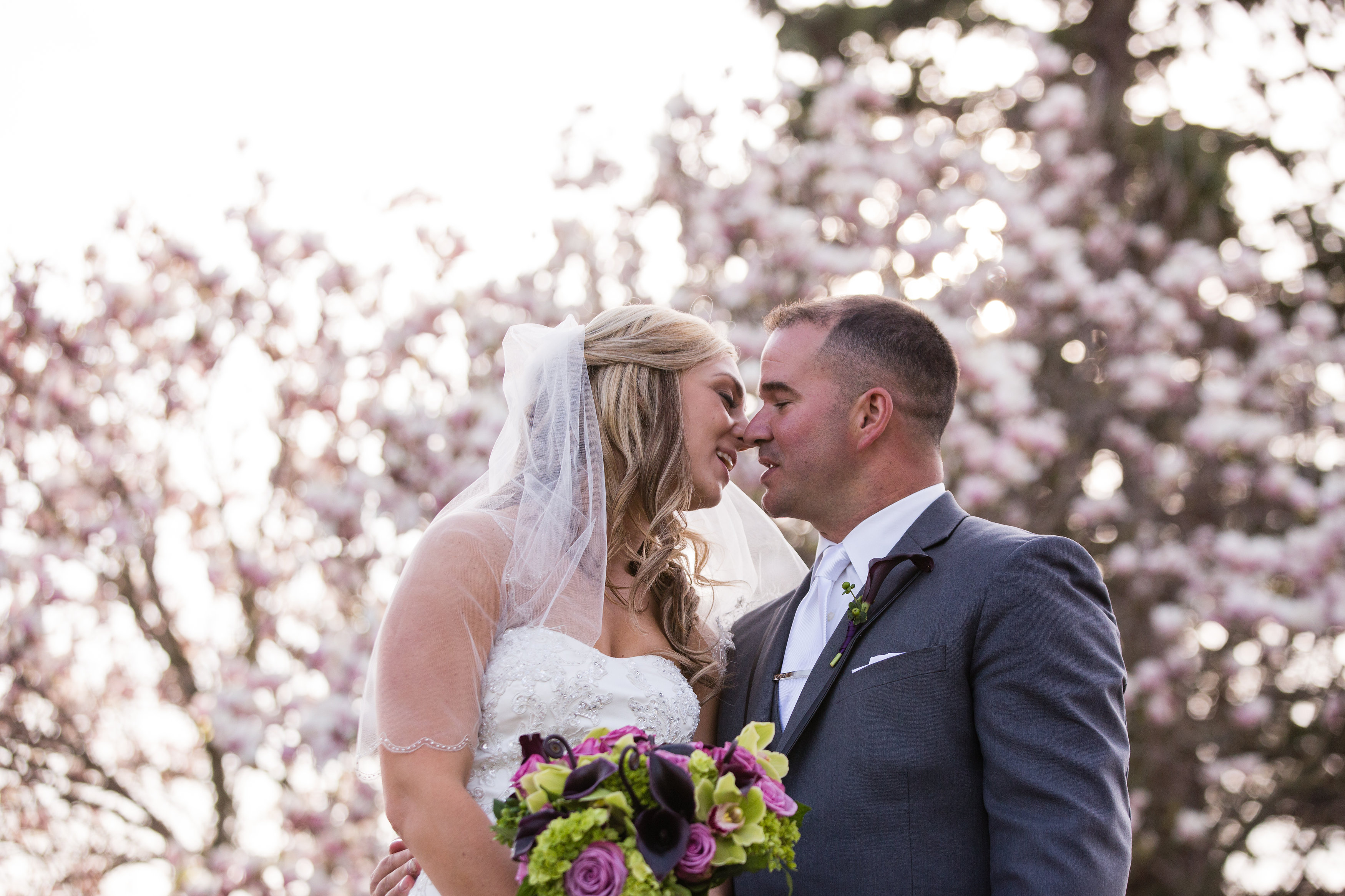 Kelly Cronin Photography