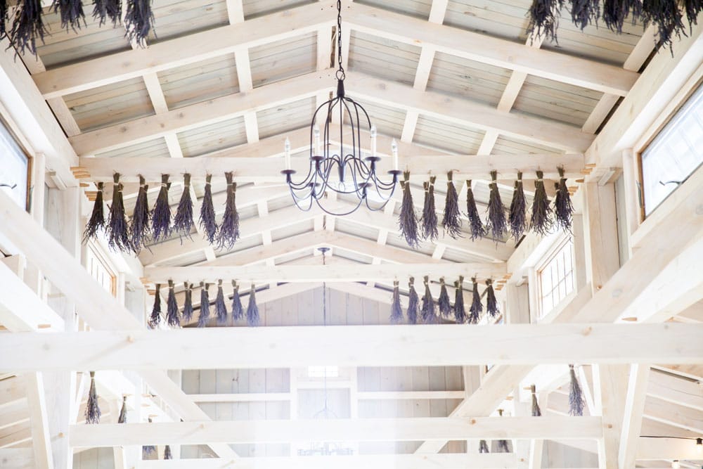 Windy Hill Photography