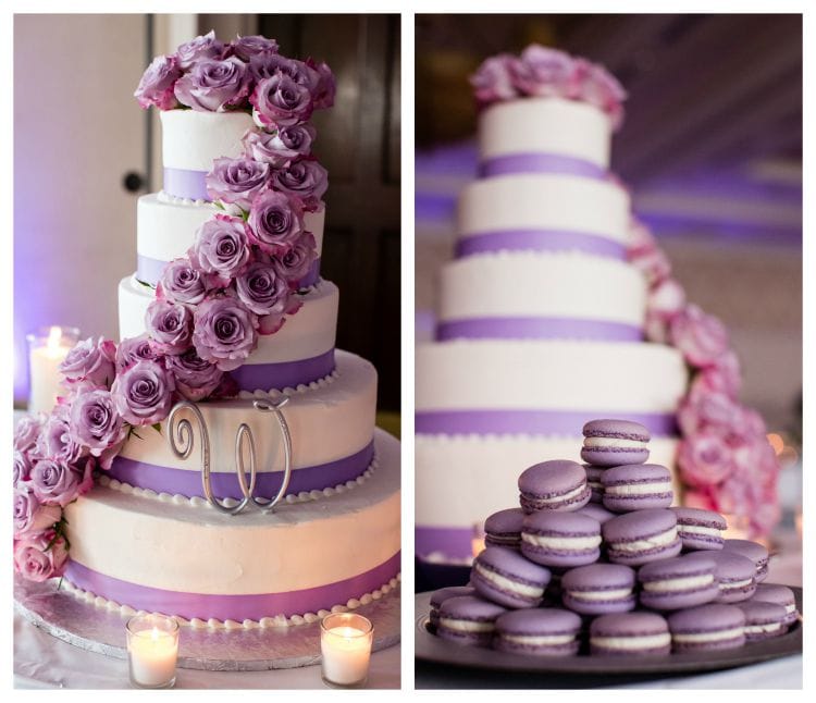 Kelly Cronin Photography