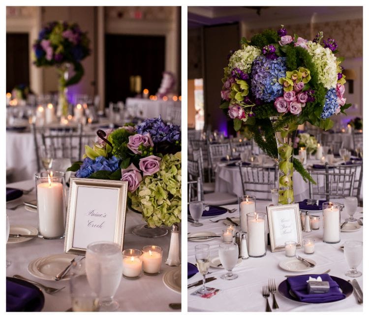 Kelly Cronin Photography