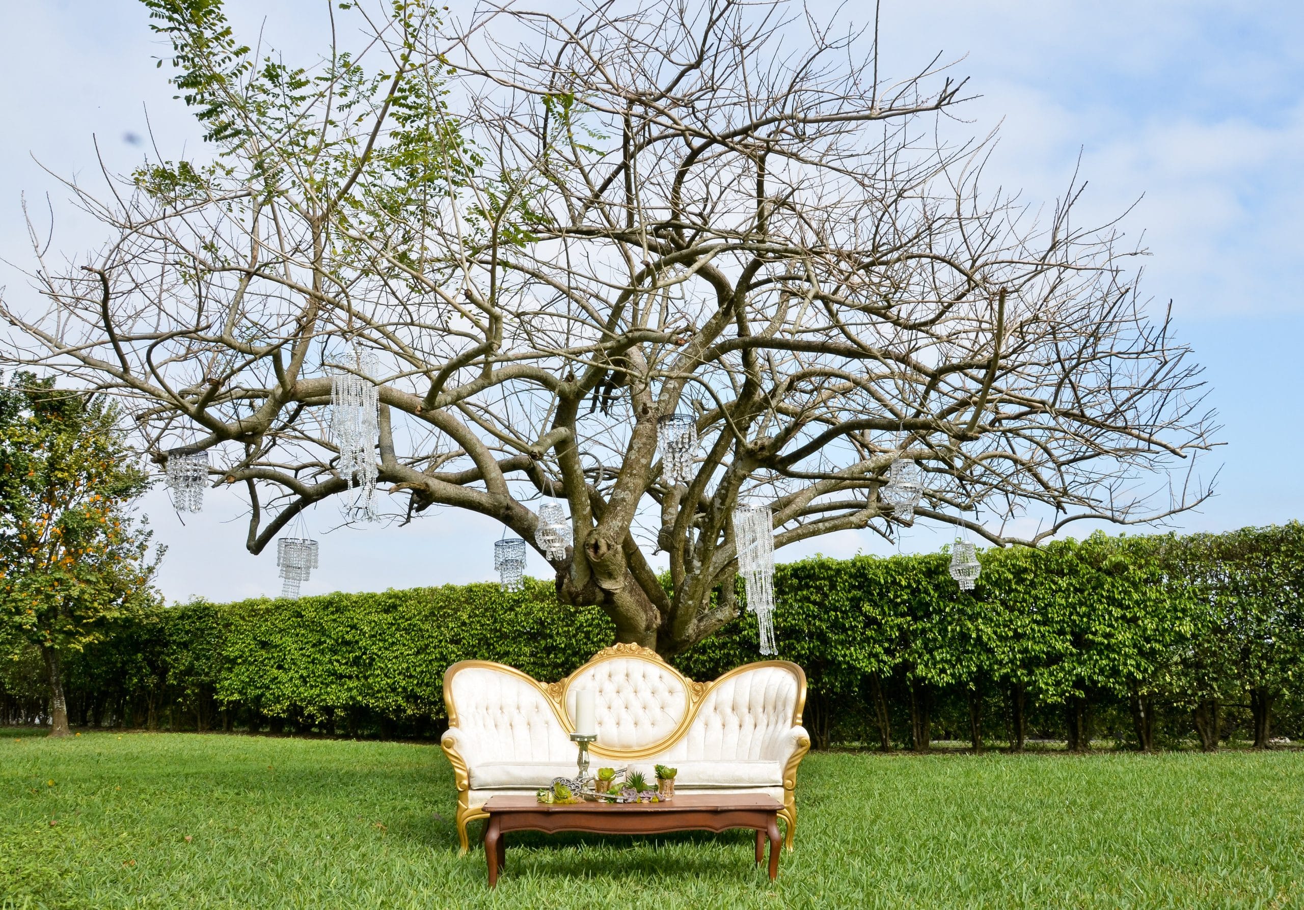 2013 Copyright Aragon Photography