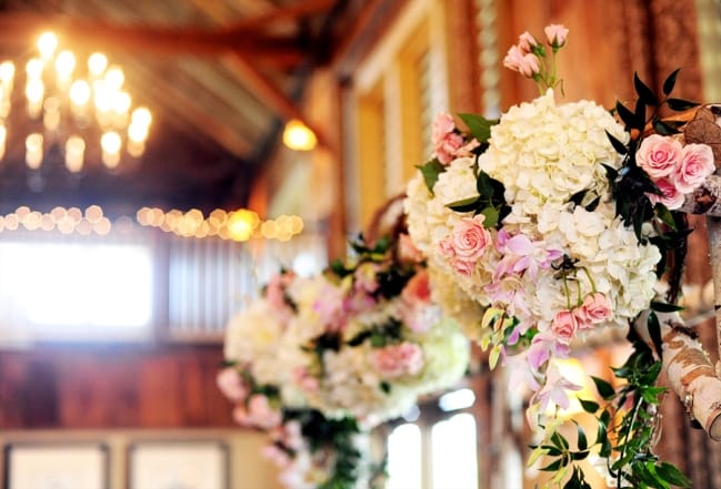 Justine Johnson Photography