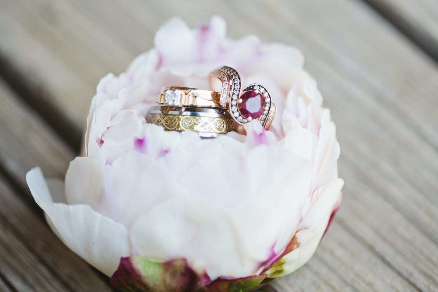 Stephanie Kaloi Photography