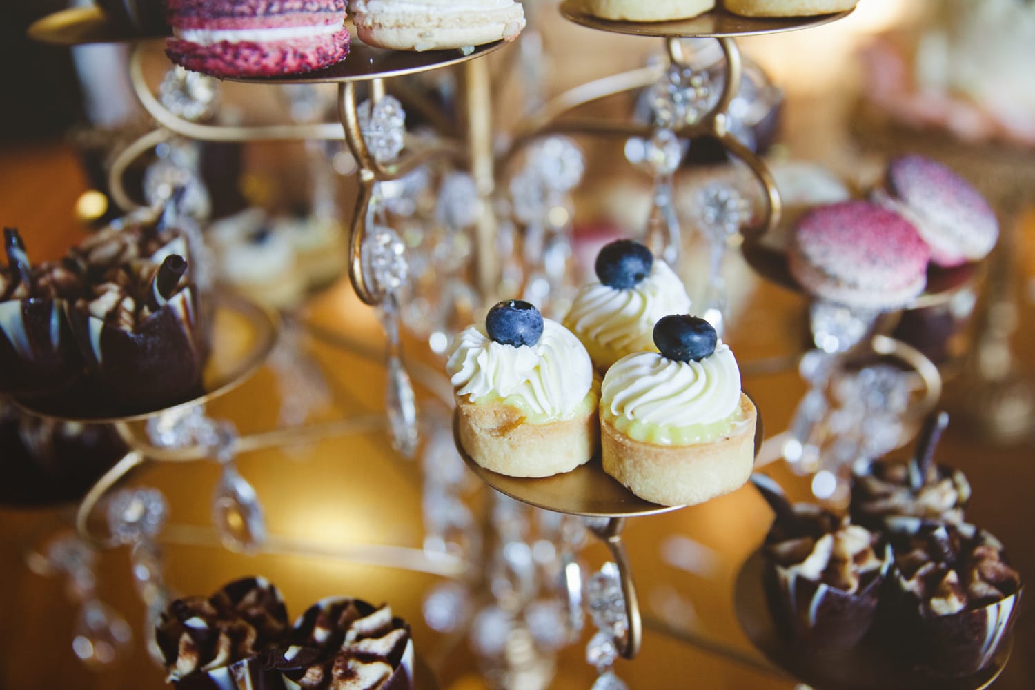 Stephanie Kaloi Photography