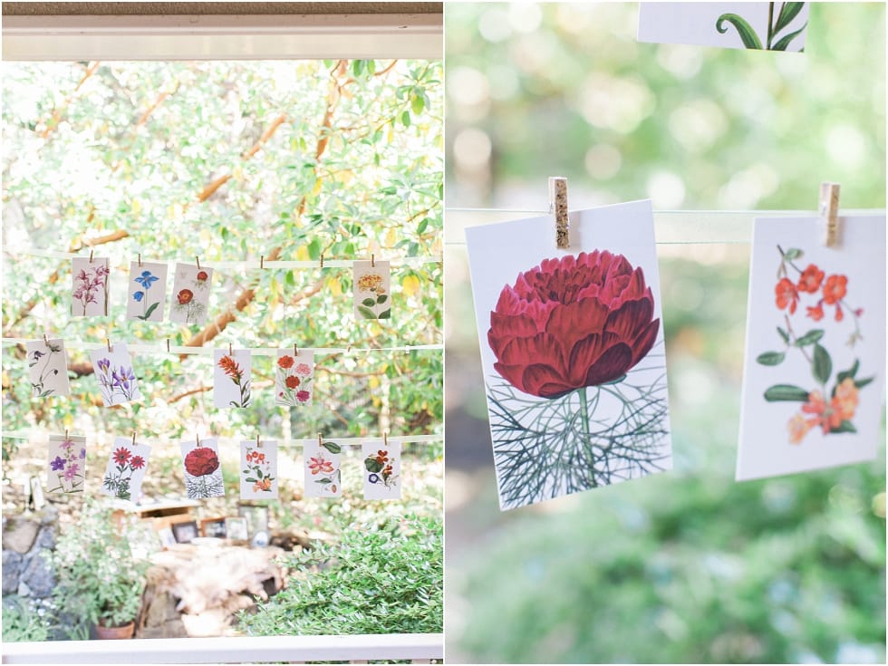 Catherine Leanne Photography