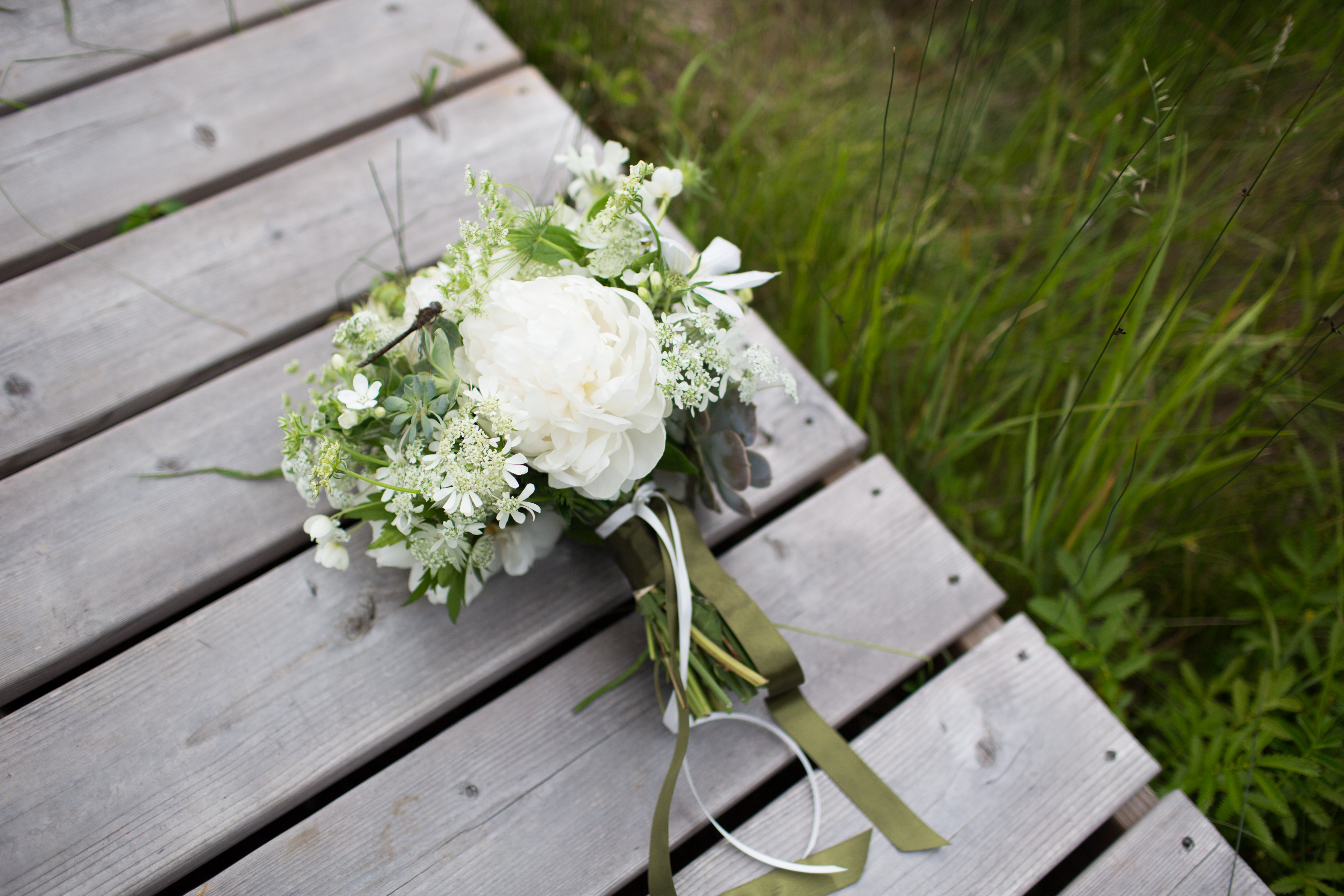 emilie inc photography