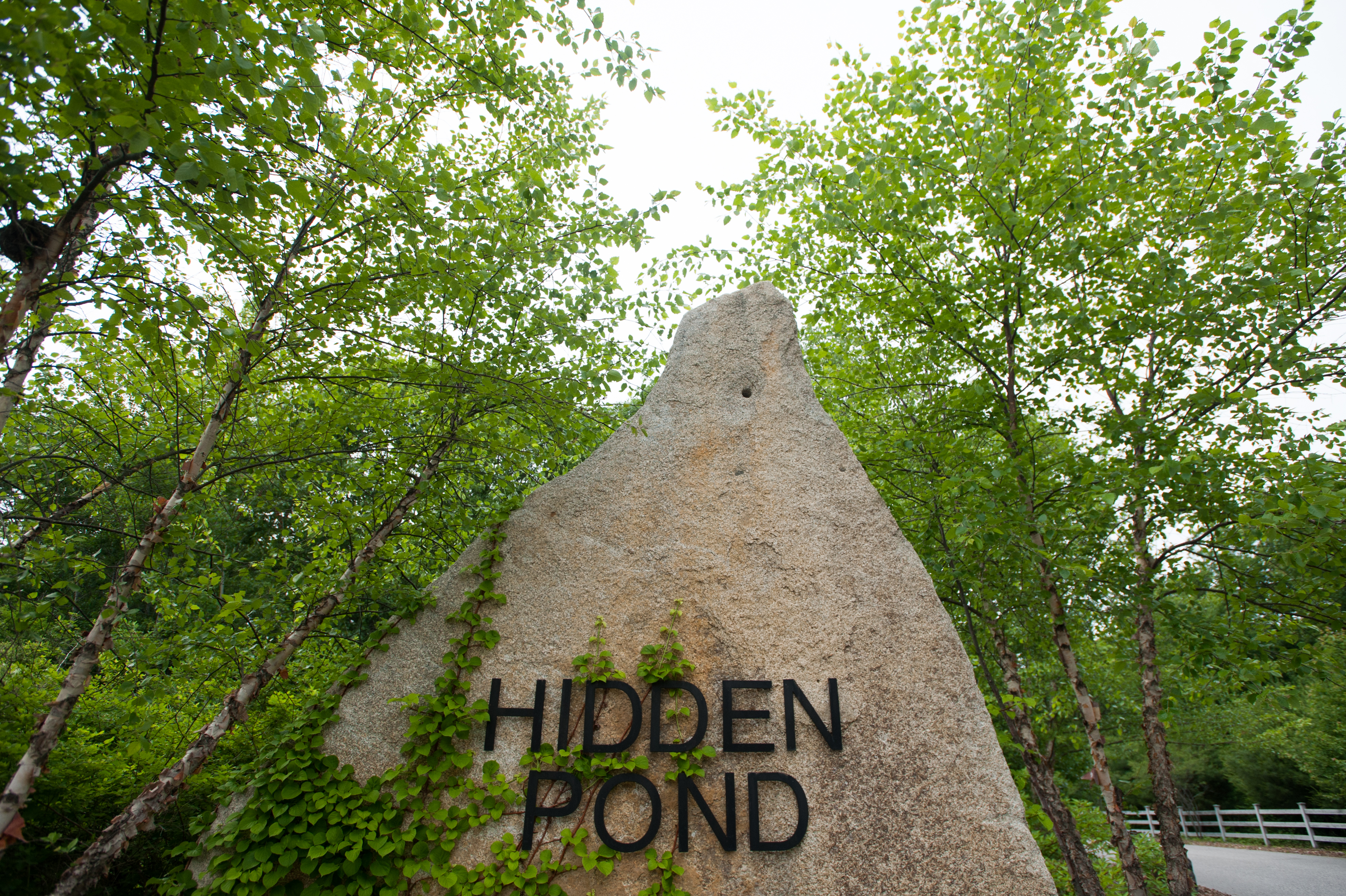 emilie inc. photography