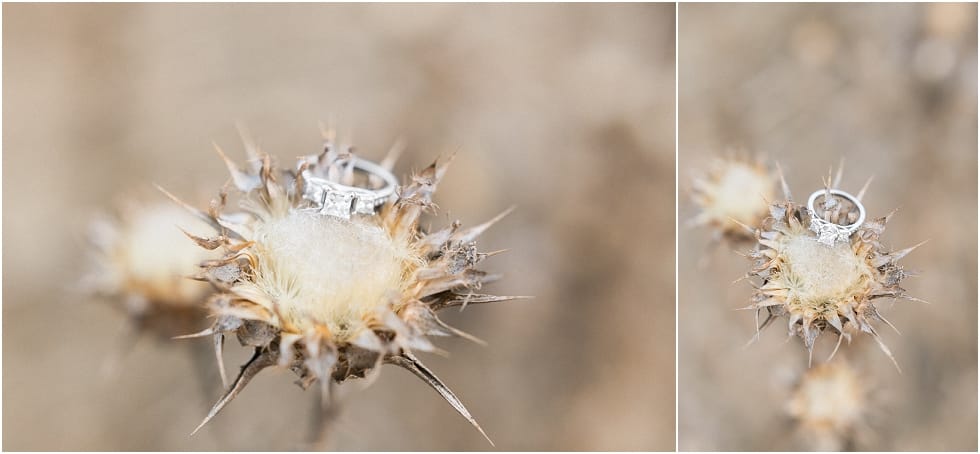 Catherine Leanne Photography