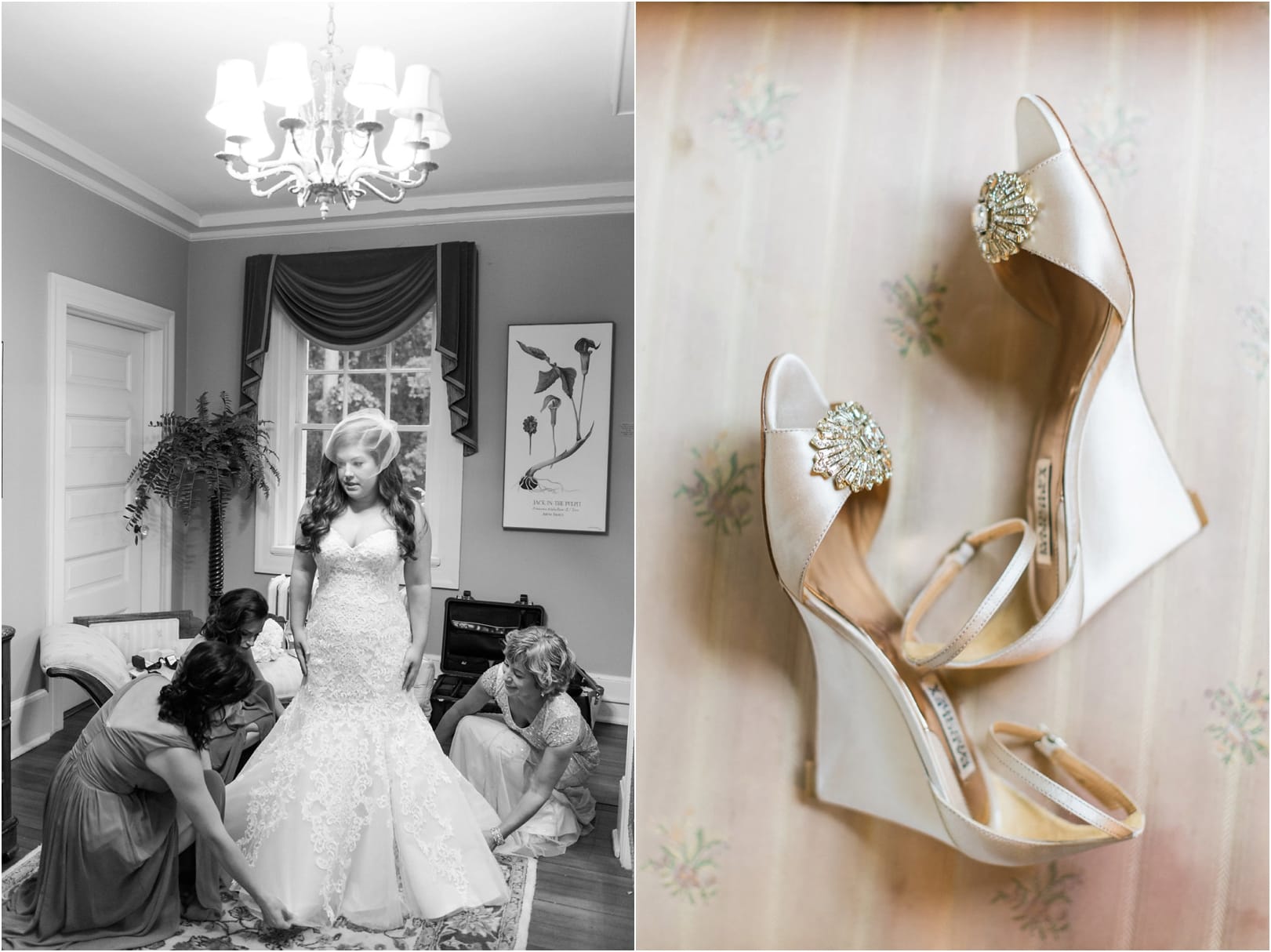 (C) Joy Michelle Photography 2015