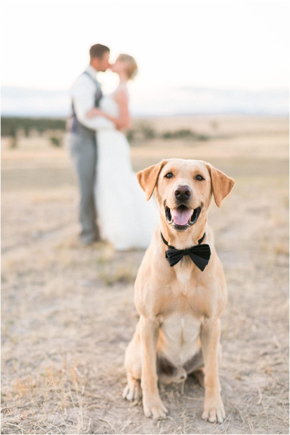 Catherine Leanne Photography