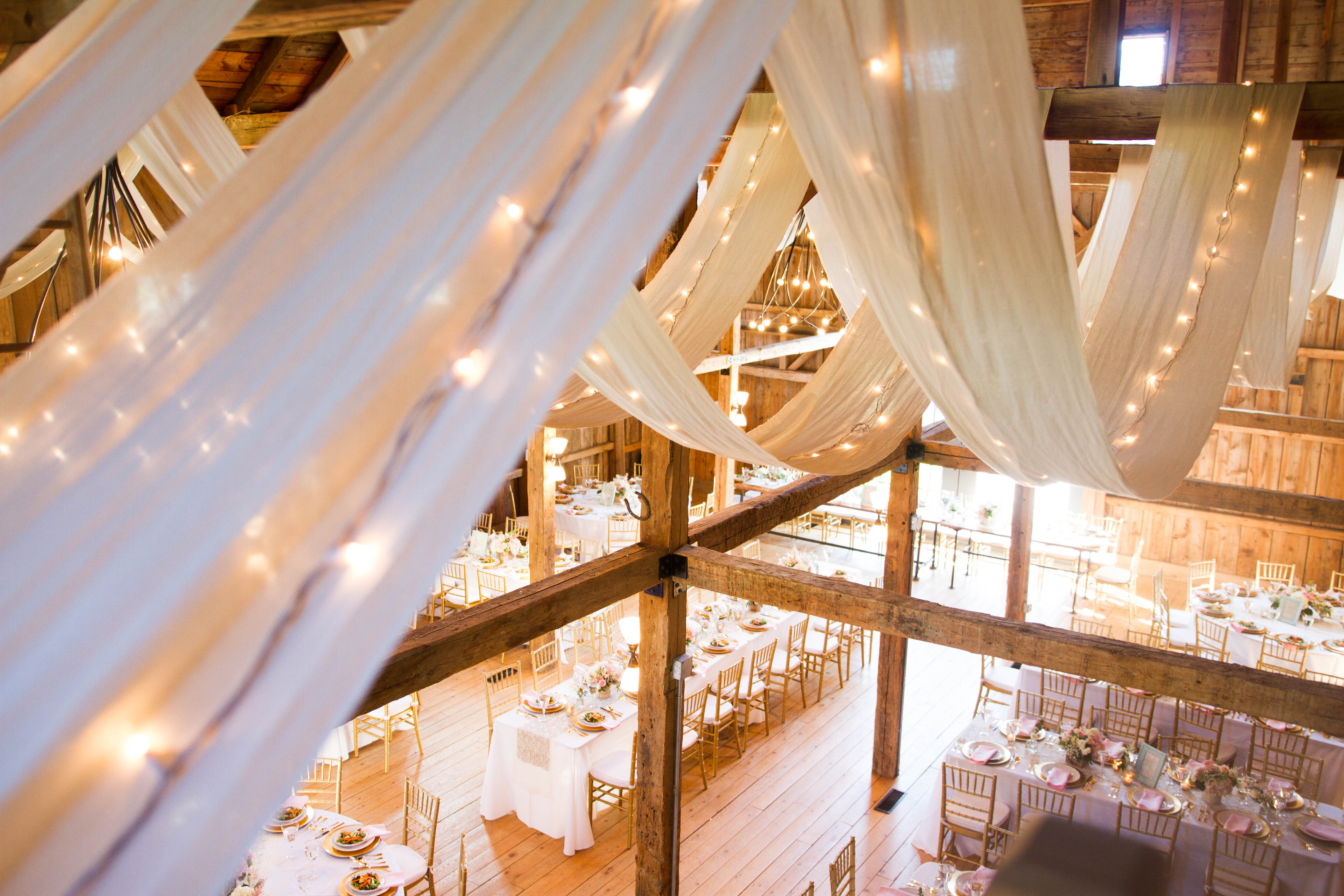 A.Fogarty Photography