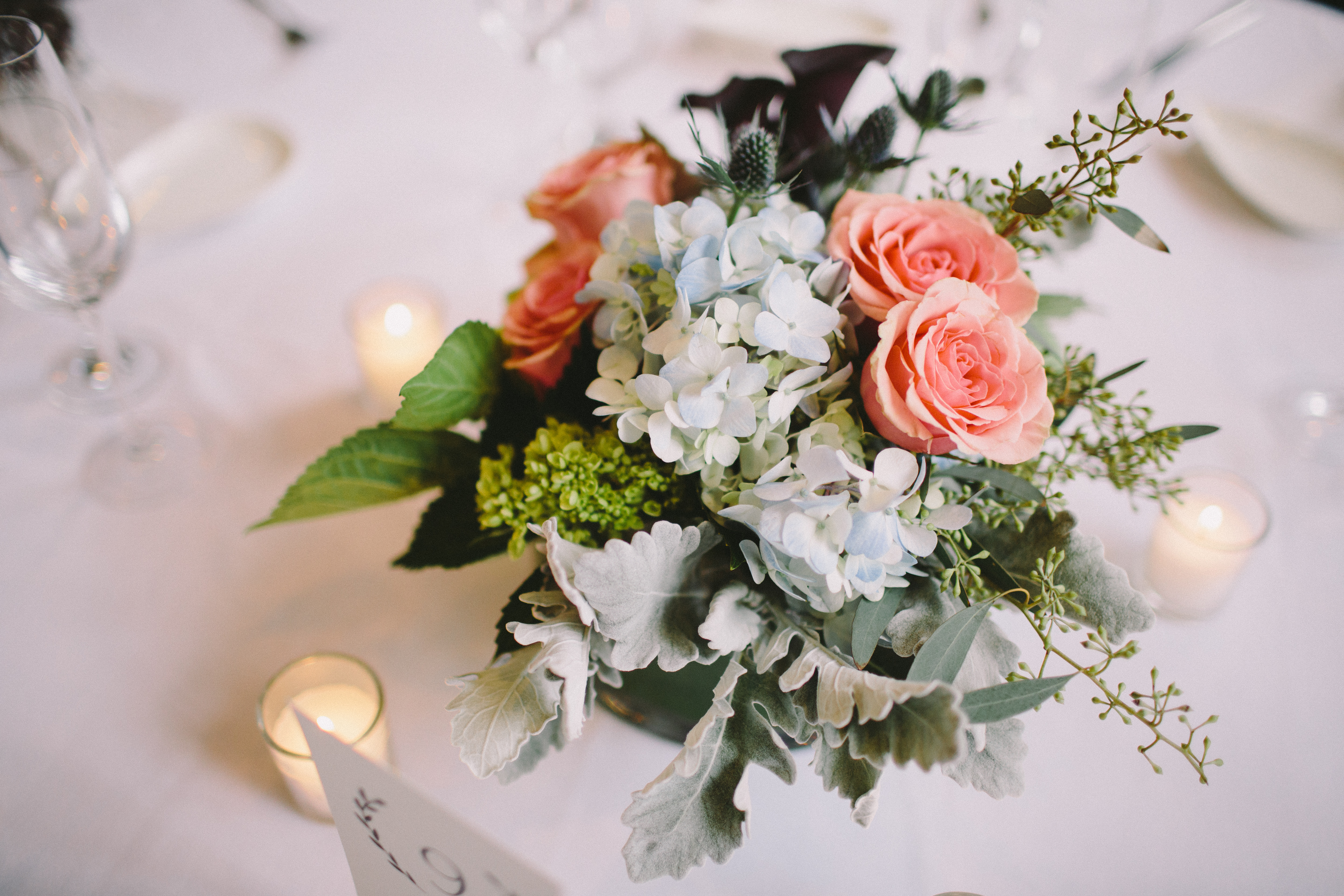 Jamie Mercurio Photography