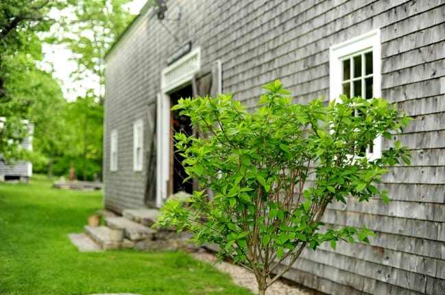 Justine Johnson Photography