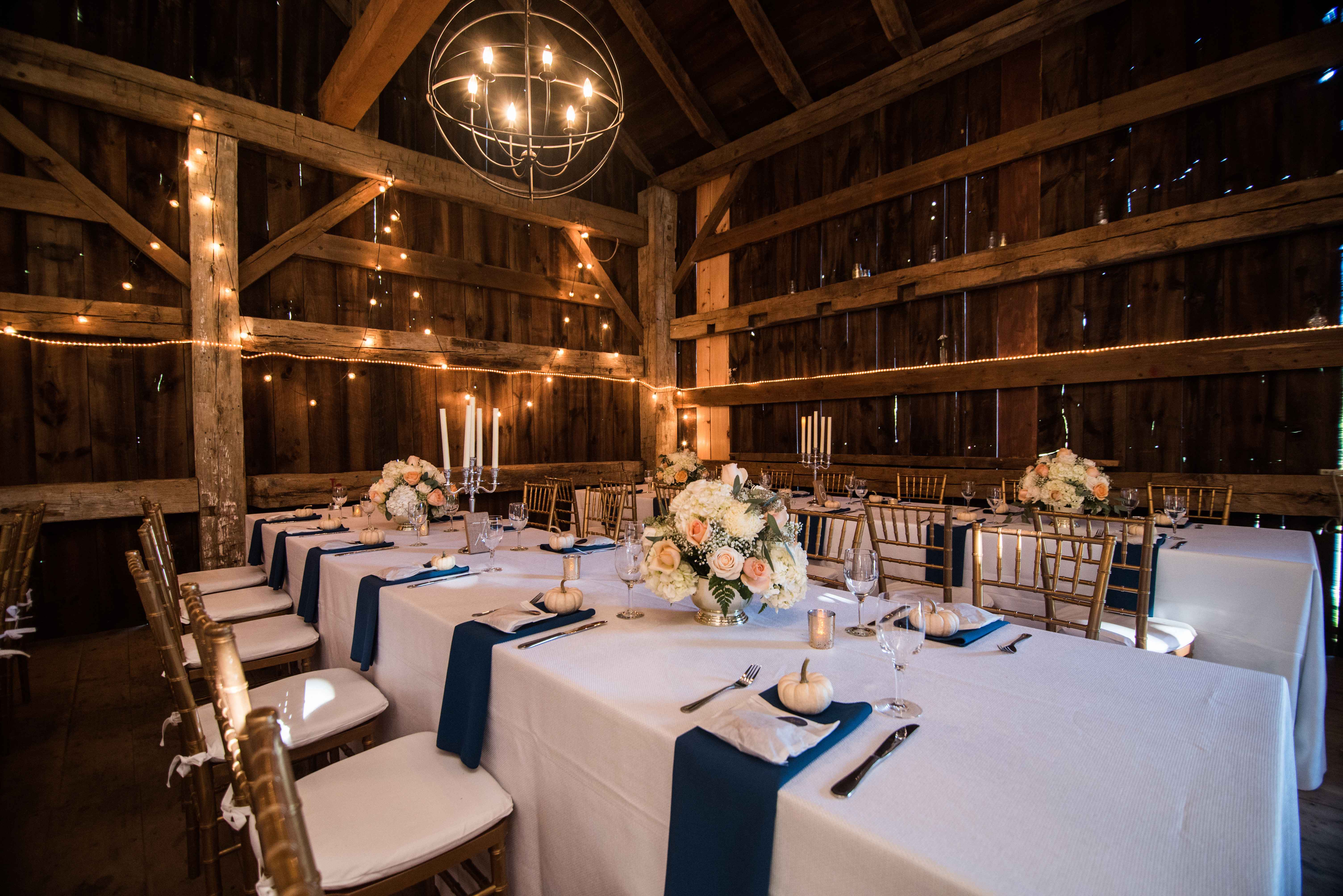 Susan Hennessey Photography