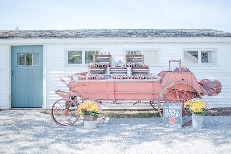 View More: http://amybrownphotographynh.pass.us/duggan-submission
