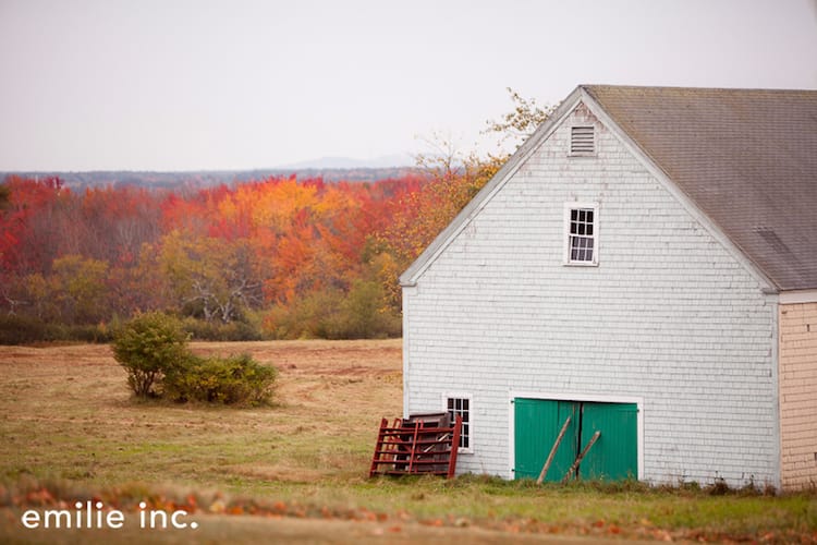 Southern Maine Wedding_emilie inc