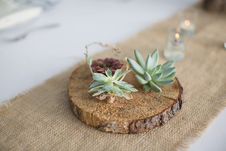 Elite Photo, Batavia, IL