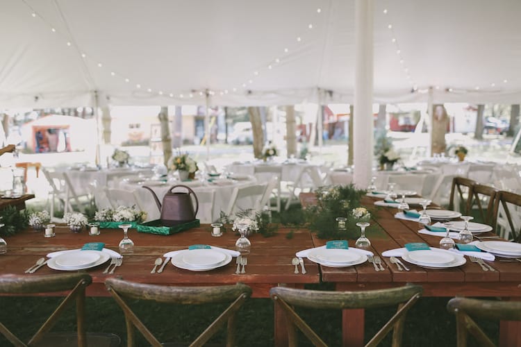 Lex Nelson Photography