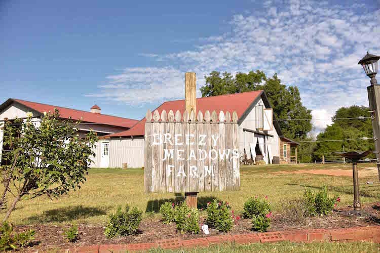 nc-rustic-engagement_tj_green-valley-photography7