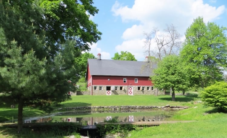 The Farm at Pond Lily