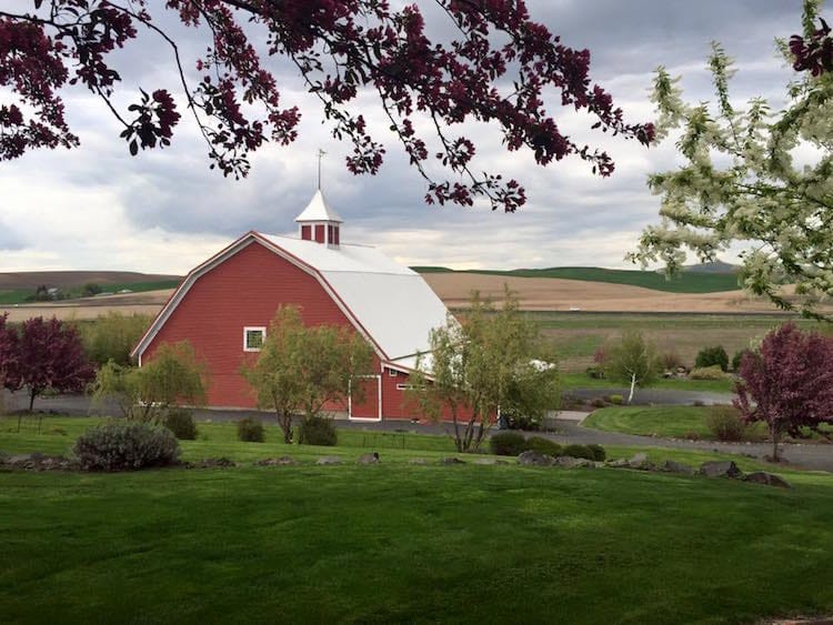 Red Barn Farms