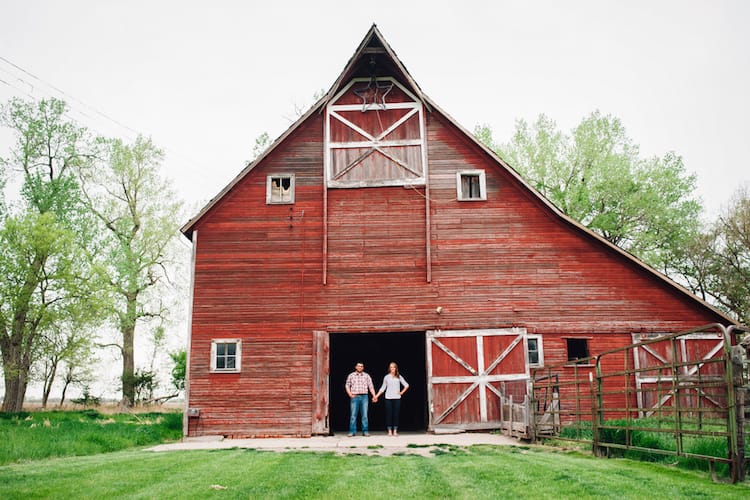 Babel's Barn