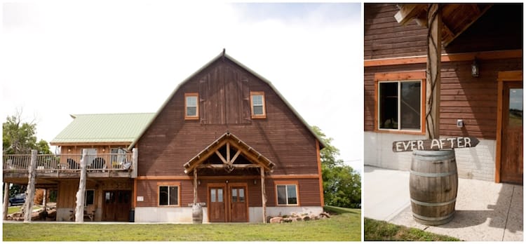 Bellevue Berry & Pumpkin Patch