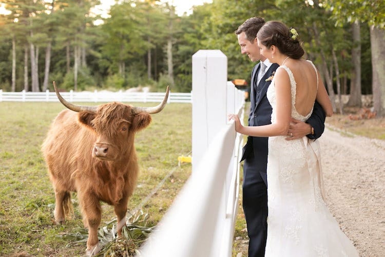 download - 2024-03-04T161033