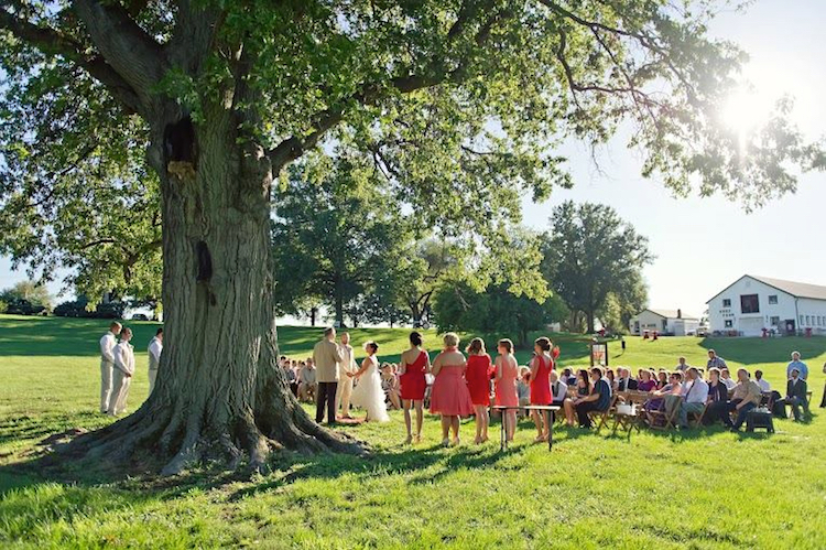 Kuhs Estate and Farm