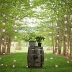 download - 2024-03-04T154125